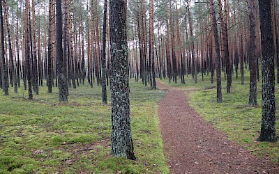 Ważna droga - współdecydowanie!