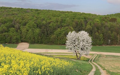 Międzynarodowy Dzień Ziemi – 22 kwietnia