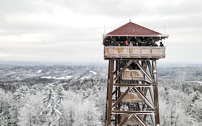 Wizyta studyjna naszych Wolontariuszy