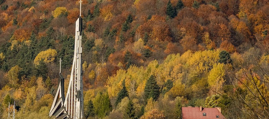 Mój uśmiech i czas, to najcenniejszy dar - historia Bożeny