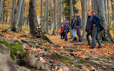 W drobnych gestach tkwi siła