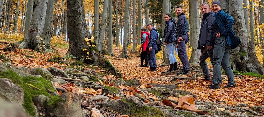 W drobnych gestach tkwi siła