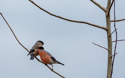 Wierzę, że dobro naprawdę się mnoży - wyznaje Pani Ania