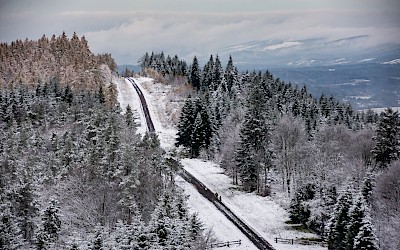 Wierzę, że każdy jest na świecie w jakimś celu...