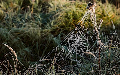 Zaczynałem jako ktoś, kto po prostu chciał pomóc - historia Kacpra