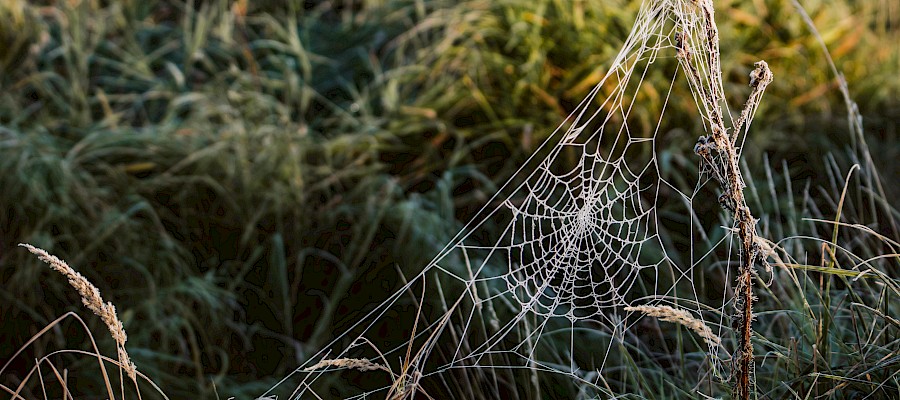 Zaczynałem jako ktoś, kto po prostu chciał pomóc - historia Kacpra
