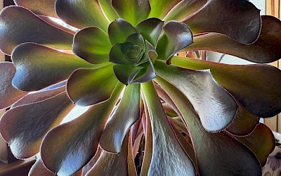 "Ja to naprawdę lubię!" -wyznaje Ela - koordynatorka wolontariatu