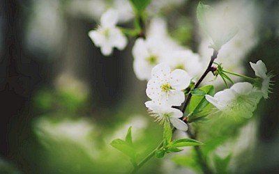 „Piotr, weź to ogarnij” - historia Wolontariusza