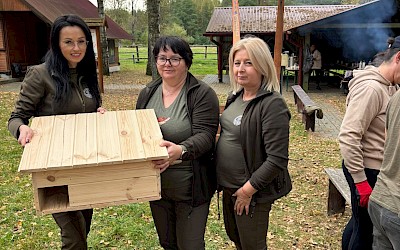 Małe domki – wielkie serca. Wolontariusze budują schronienia dla jeży.